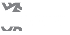 Evropska unija